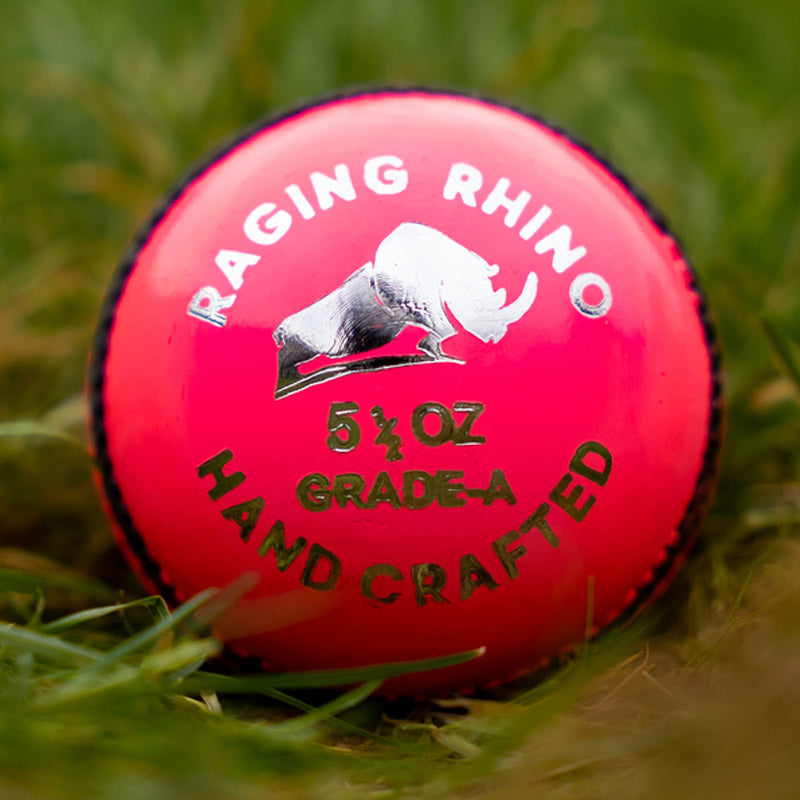 Raging Rhino
