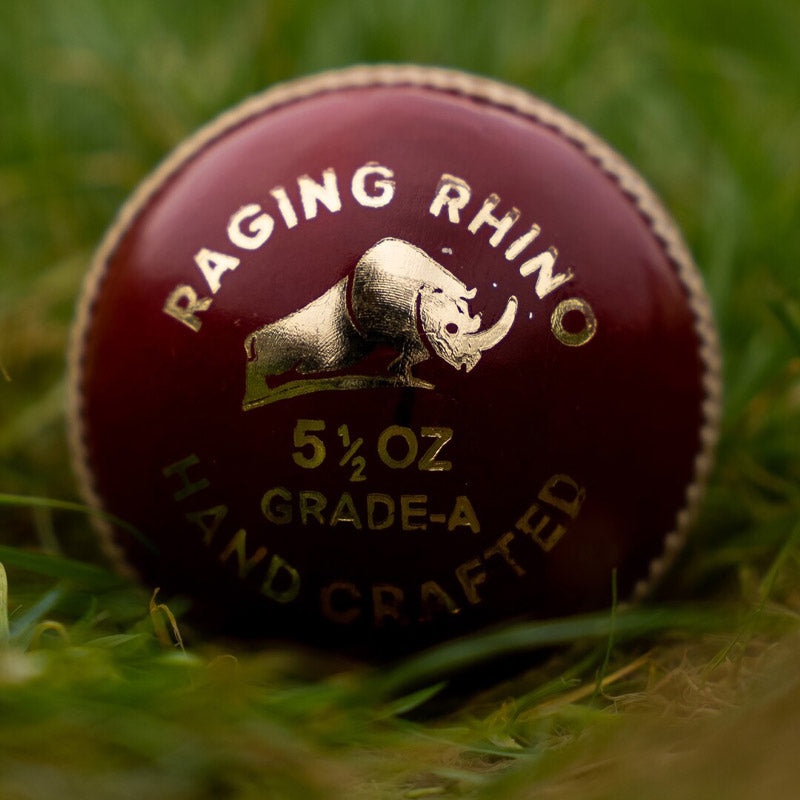 Raging Rhino